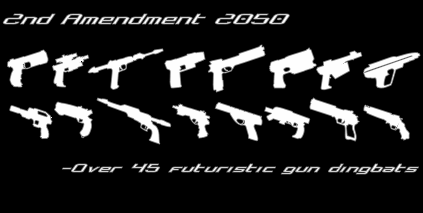2nd Amendment 2050